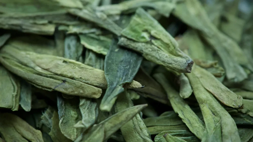 Loose dried green oolong tea leaves after the rolling process, showing twisted strips of semi-processed oolong tea.